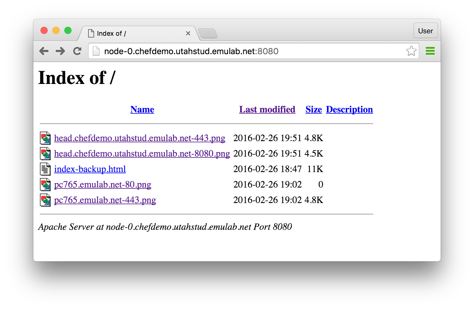 screenshots/clab/chef-tutorial/apache-dir-listing-1.png